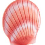 Biodegradable Coral Shell Urn